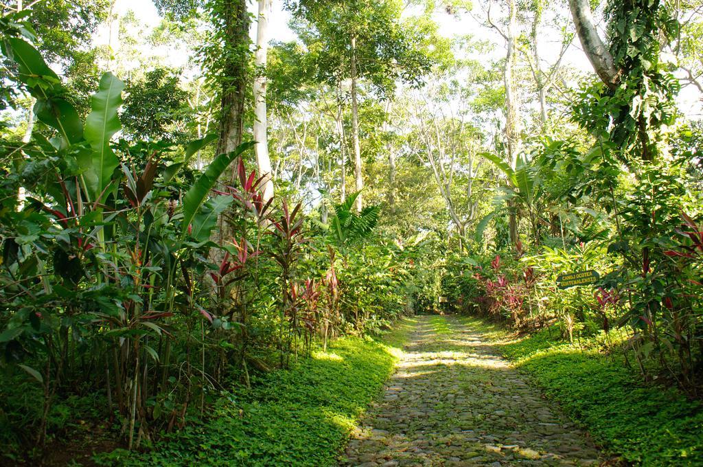 Takalik Maya Lodge El Asintal Exterior photo